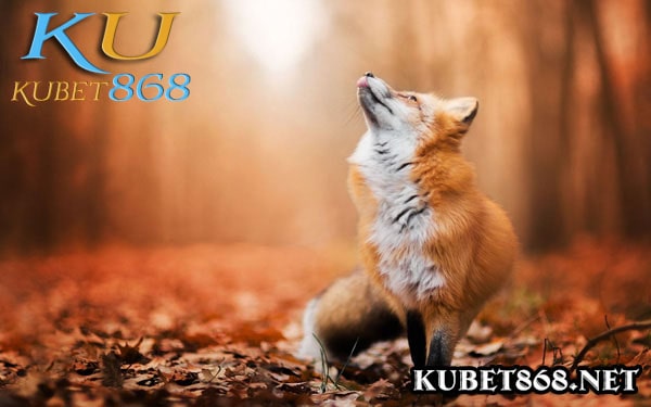 ku casino hướng dẫn nạp tiền từng bước tài khoản KUBET