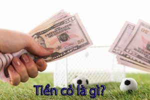 Tìm hiểu khái niệm tiền cỏ là gì?